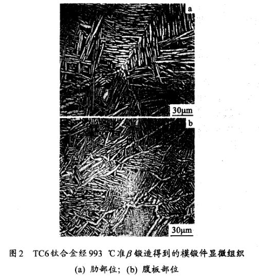 TC6鈦合金經993 ℃準鍛造得到的模鍛件顯微組織(a) 肋部位；(b) 腹板部位