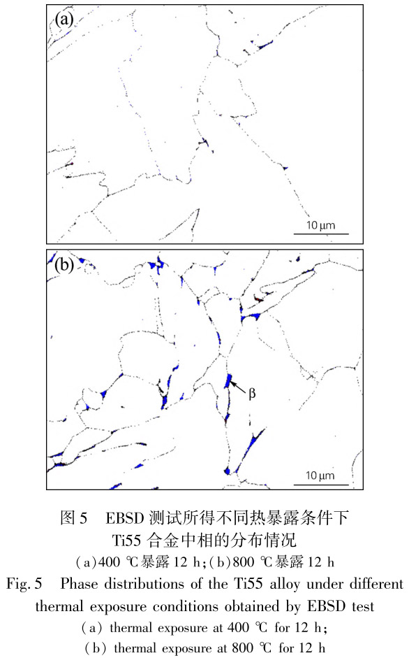 1713441111671901.jpg 未標題-5.jpg