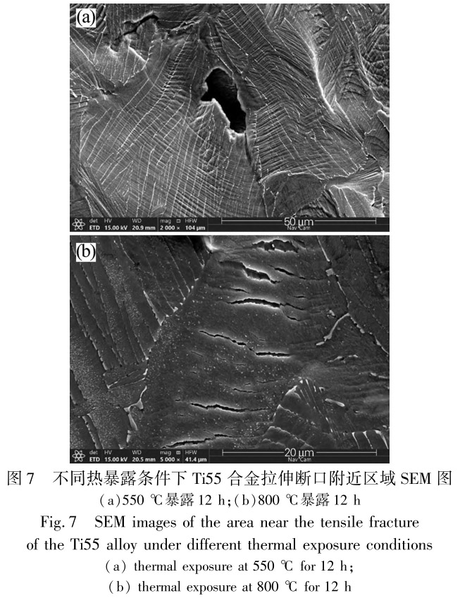1713441128728022.jpg 未標題-7.jpg