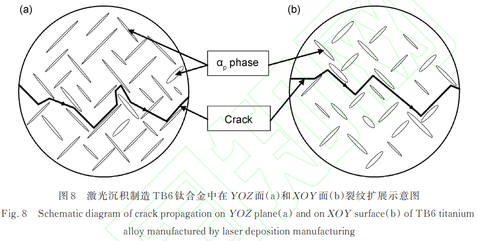截圖20250331103925.png